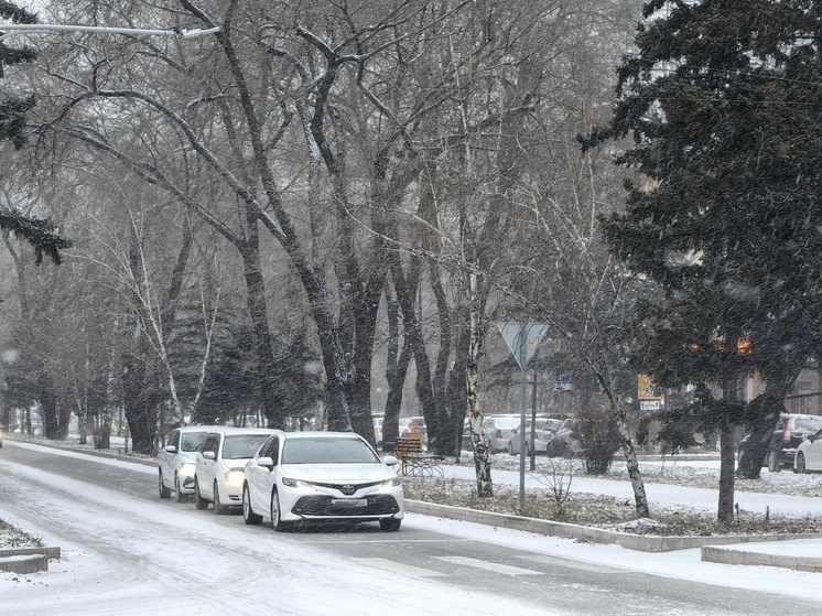 По Хакасии пройдут снегопады и ветер
