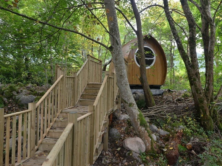 Рынок глэмпингов в Новосибирской области демонстрирует бурный рост