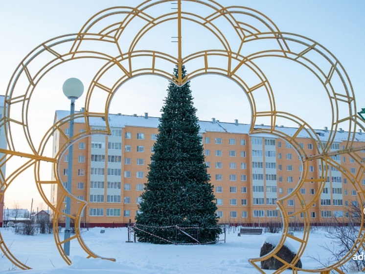 По улицам Нарьян-Мара расставляют новые ёлки