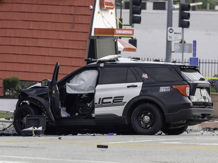 People: художница из США признала вину в торговле человеческими останками