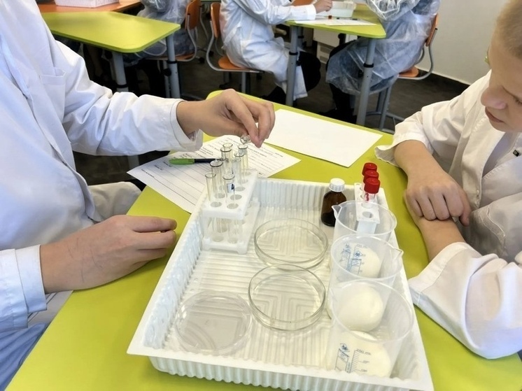 В школе села Мичуринское Хабаровского района заработал первый в регионе агрокласс — учебное пространство, где дети могут изучать сельское хозяйство не по картинкам в учебнике, а через реальные эксперименты, лабораторные исследования и работу с современной техникой, сообщили в пресс-службе правительства Хабаровского края