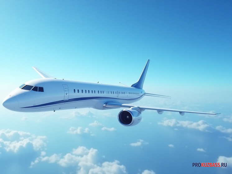 Все утренние рейсы из Кузбасса в Москву задержаны из-за контртеррористических мероприятий