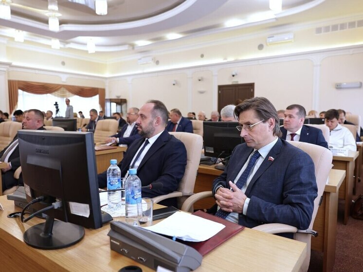  Депутаты Владимирской области перенаправили 2,2 млрд рублей на лекарства и резервы