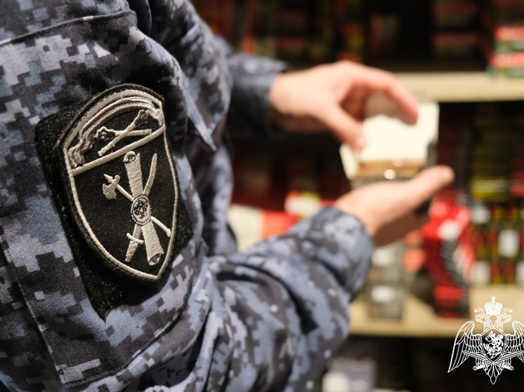 В ходе проверок в Курской области изъято 13 единиц незаконного оружия