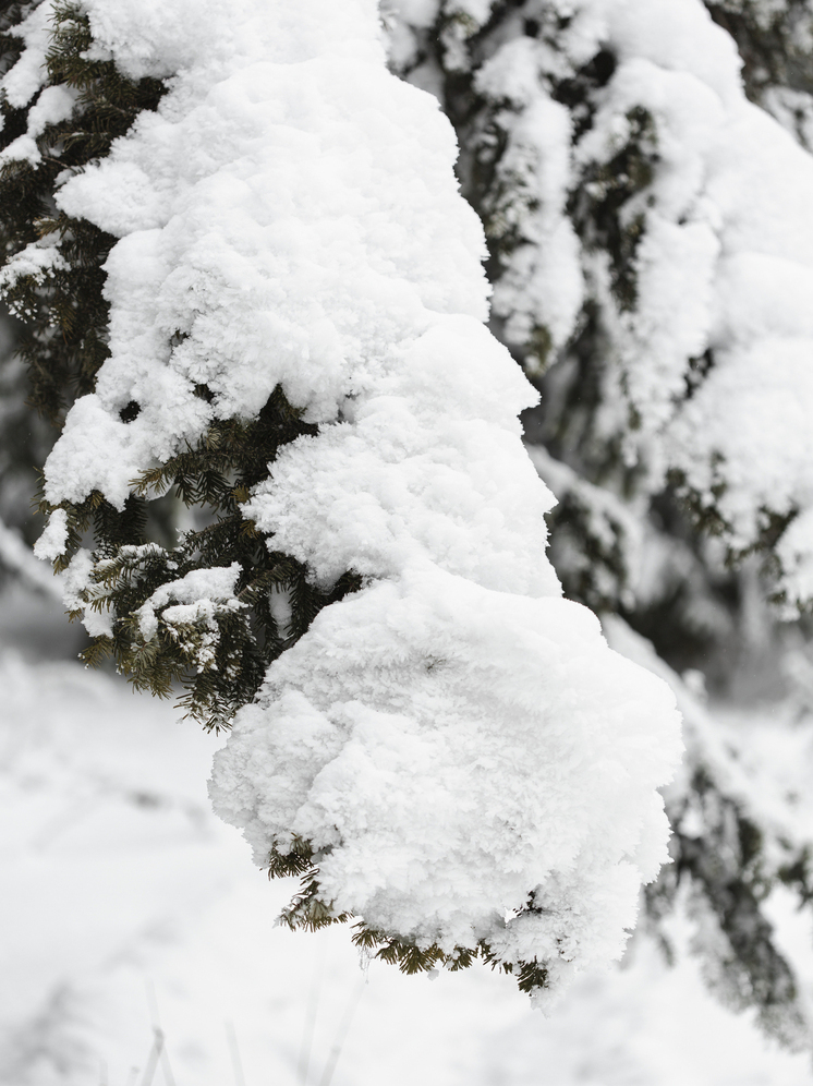 Гололёд и морозы до -29°С придут в Томскую область 11 декабря