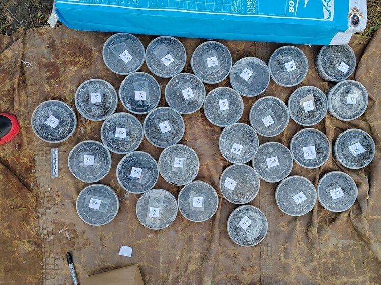 В Хабаровске осудили организатора крупной партии осетровой икры