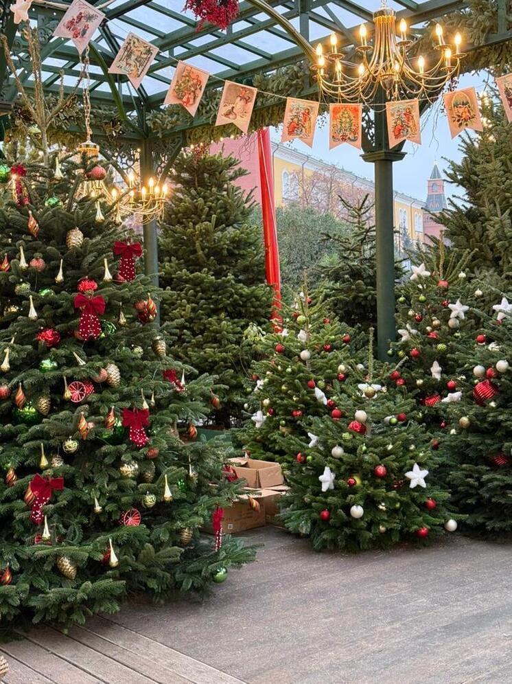 Жителей и гостей Ставрополя приглашает на бесплатную праздничную фотосессию