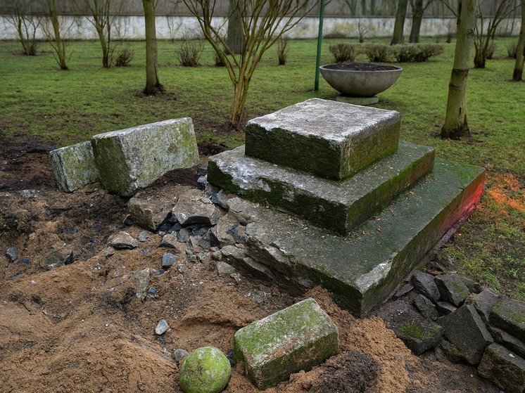 TVP: в Польше снесли памятник советским воинам-освободителям