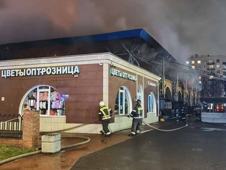 МЧС: Крупный пожар на рынке в Невском районе ликвидирован
