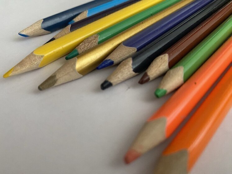 Гладков: 54 педагога пришли в сельские школы по программе «Земский учитель»