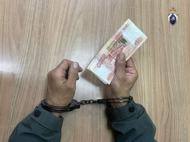 В Курске иностранец пытался дать взятку полицейскому за вид на жительство