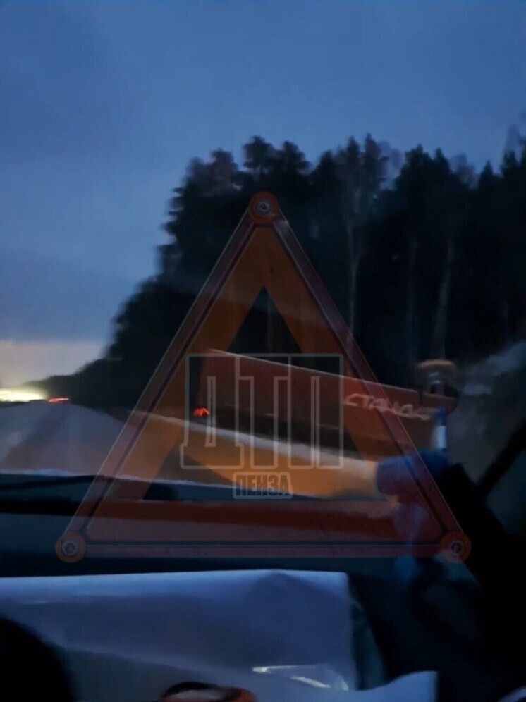 На трассе М-5 в Пензе фура слетела с дороги