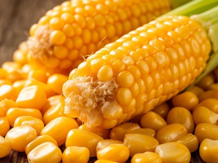 На складе юрлица в Ростовской области в крупной партии кукурузы обнаружили семена амброзии