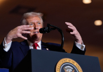 Ультраправая немецкая партия “Альтернатива для Германии” (AfD) отреагировала на заявления президента США о том, что Европе грозит "цивилизационное стирание", заявив, что поддерживает усилия по возрождению национализма на континенте, но другие националистические партии в ЕС гораздо более осторожны