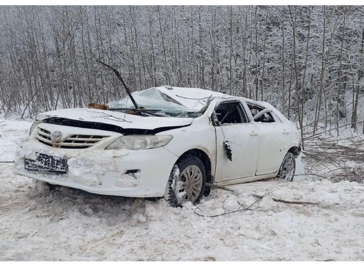 Автоледи не справилась с управлением и съехала в кювет в Тотемском округе
