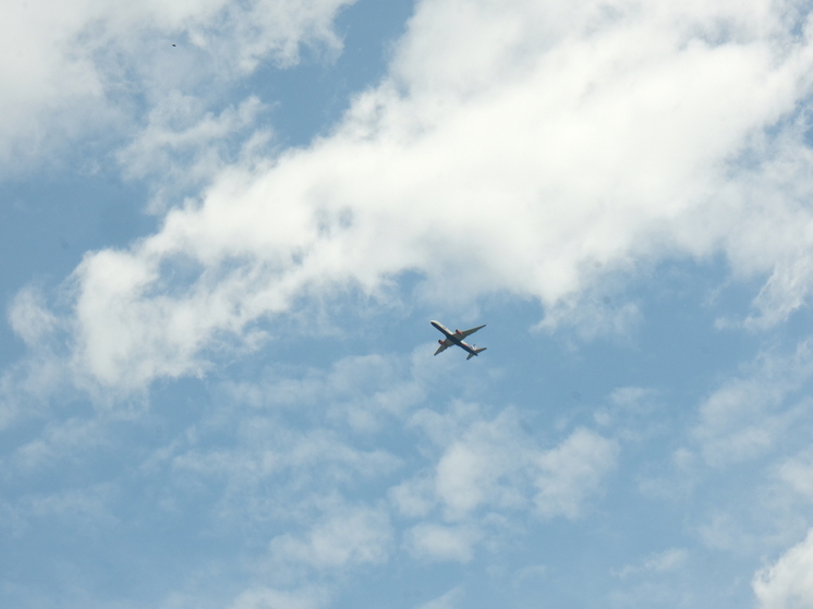 Рейсы из Новосибирска в Москву отменены из-за ограничений в столичном авиаузле