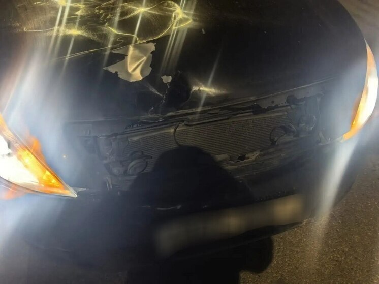 Пешеход погиб под колесами автомобиля на трассе в Геленджике