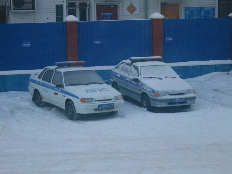 Тульская Госавтоинспекция объяснила, как записаться в МРЭО онлайн