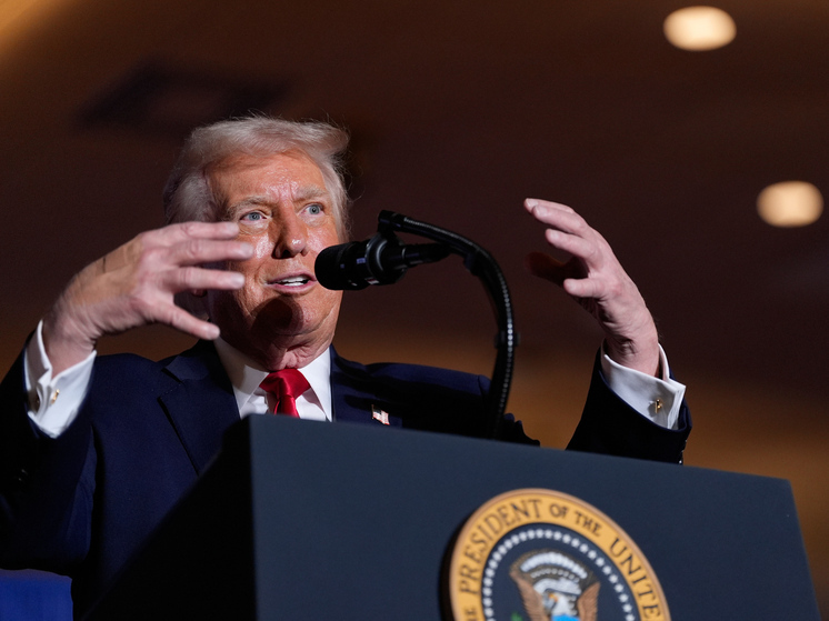 Немецкие националисты поддержали слова Трампа о коллапсе Европы из-за миграции