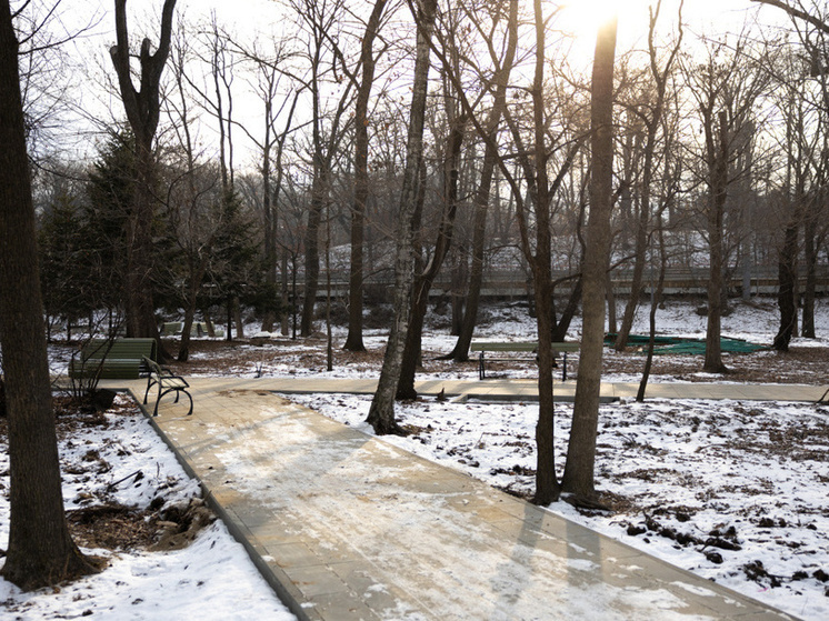 Реконструкция парка Лазо во Владивостоке близится к завершению