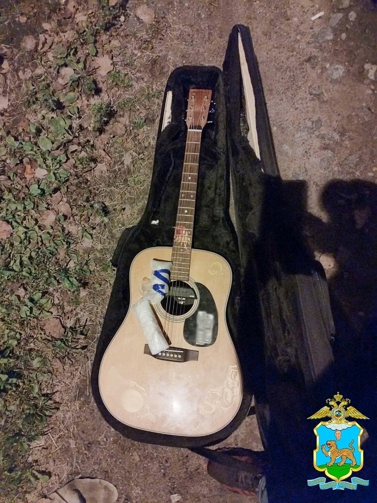 Музыкальный кайф обернулся сроком. Полиция пресекла в Пскове попытку сбыта наркотиков из гитары