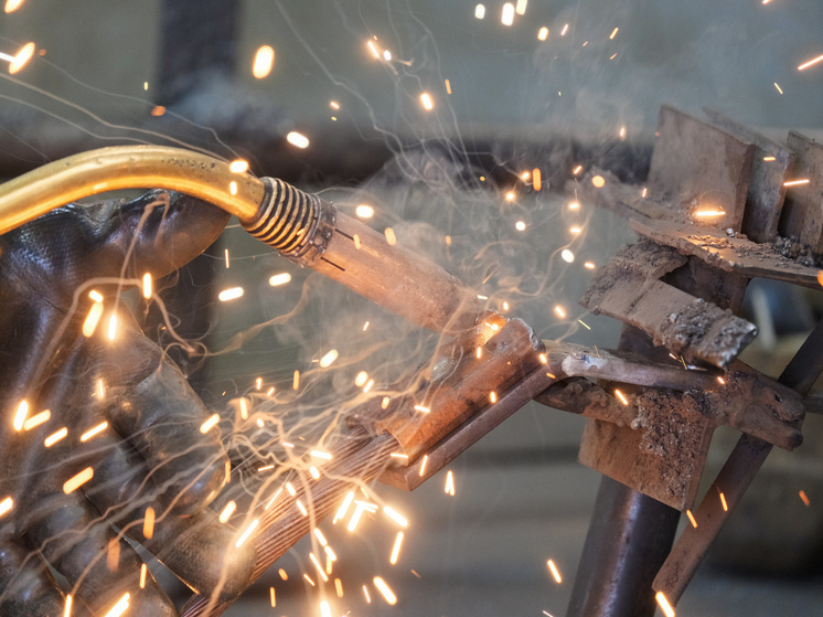 В Волгоградской области подсчитали численность рабочей силы