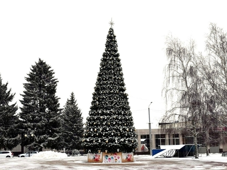 Праздник приближается: в Ракитном установили новогоднюю елку