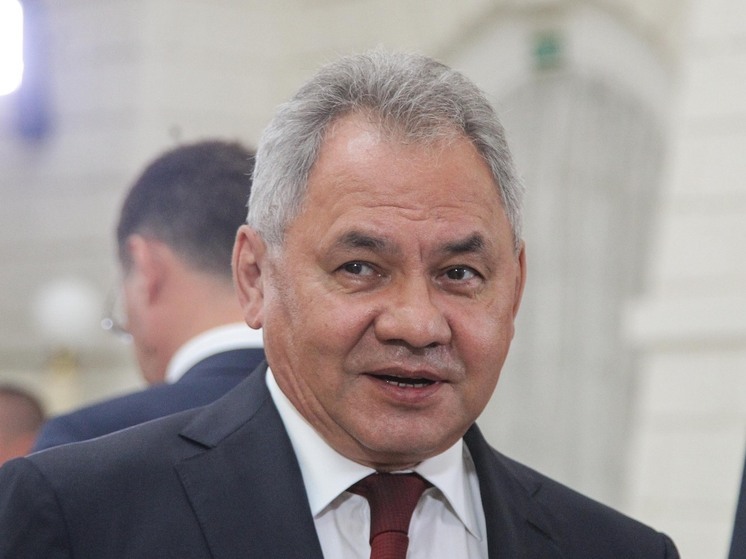 Шойгу посетил завод российско-лаосской дружбы