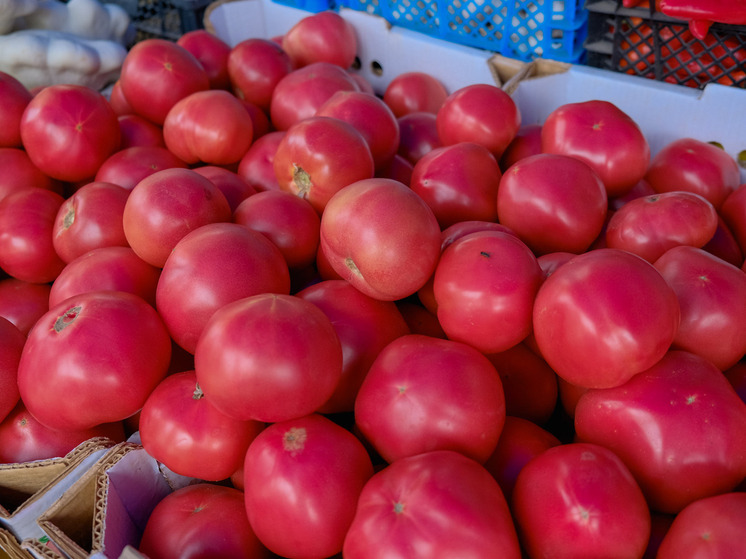 В волгоградских магазинах неожиданно подешевели огурцы и помидоры