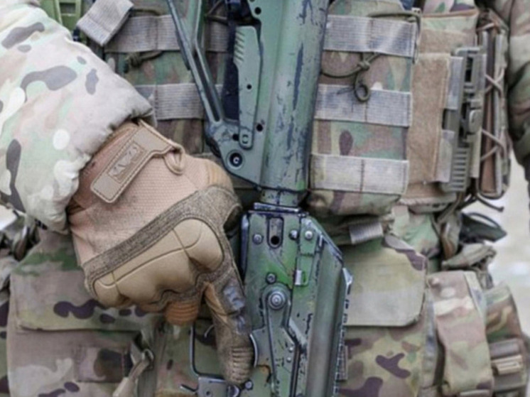 Политик Мема: Европа перевооружается из-за провала политики по Украине