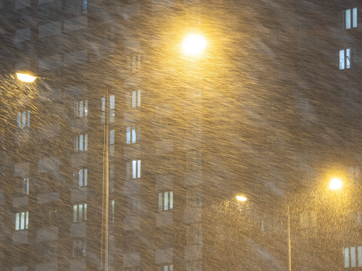 Гидрометцентр: Снег, метель и гололедица ждут Москву в пятницу 12 декабря