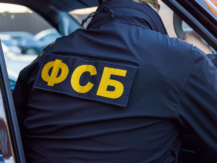 В южноуральской агрофирме выявили коррупционера