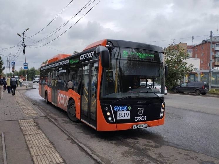 Электротранспорт в Омске станет дороже для предприятий, пассажиры не почувствуют изменения