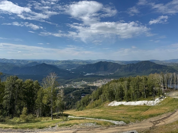 Студенты из Воронежа смогут проходить практику в лесхозах ЛНР