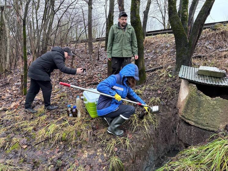 В волховском микрорайоне «Званка» экологи брали пробы воды из речки