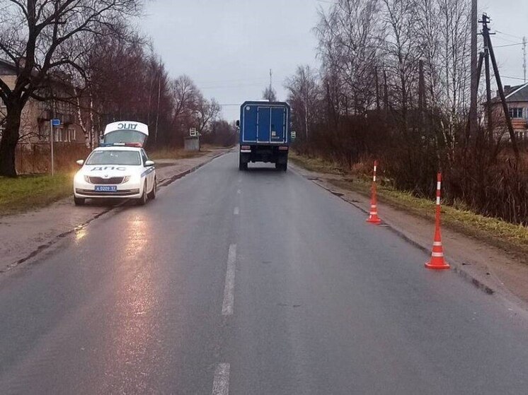 Иномарка сбила велосипедиста в Боровичах