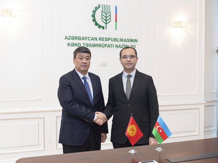Кыргызстан и Азербайджан обсудили сотрудничество в энергетике