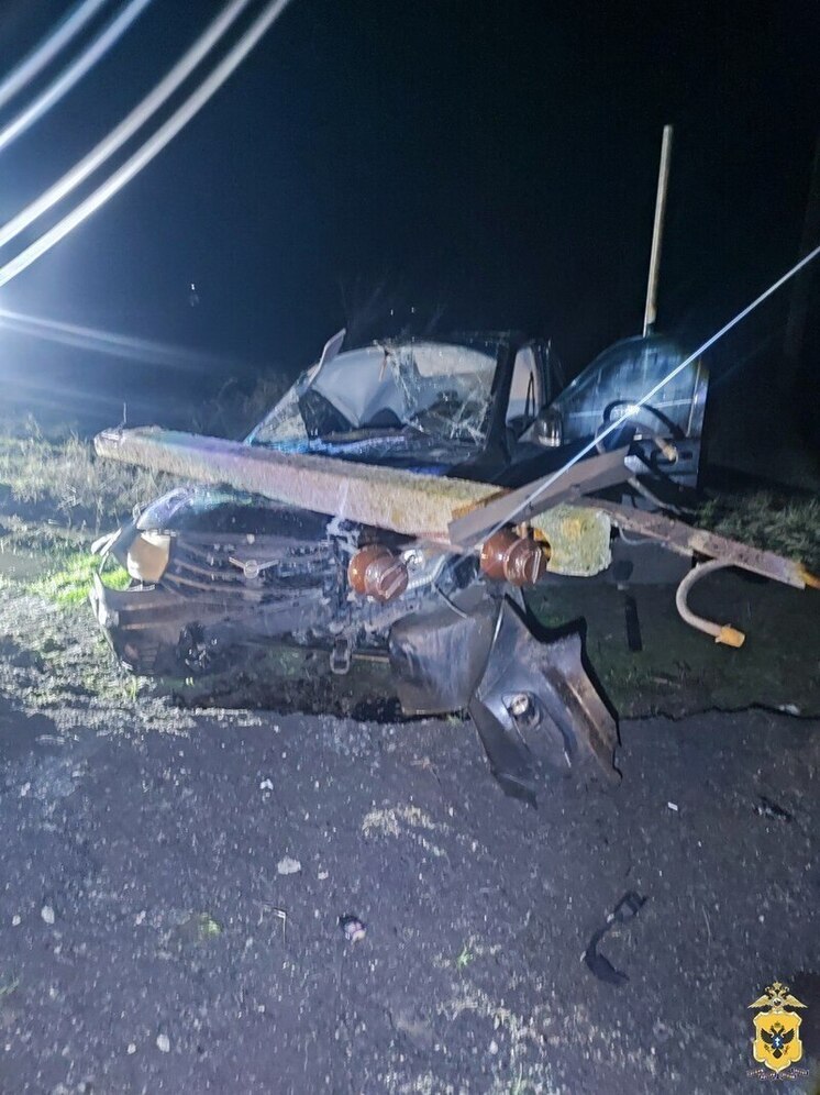 Мужчина погиб в ДТП вблизи поселка Нижние Серогозы Херсонской области