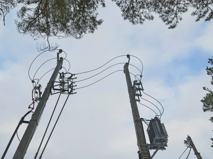 ФАПу в деревне Немятово Волховского района дали свет