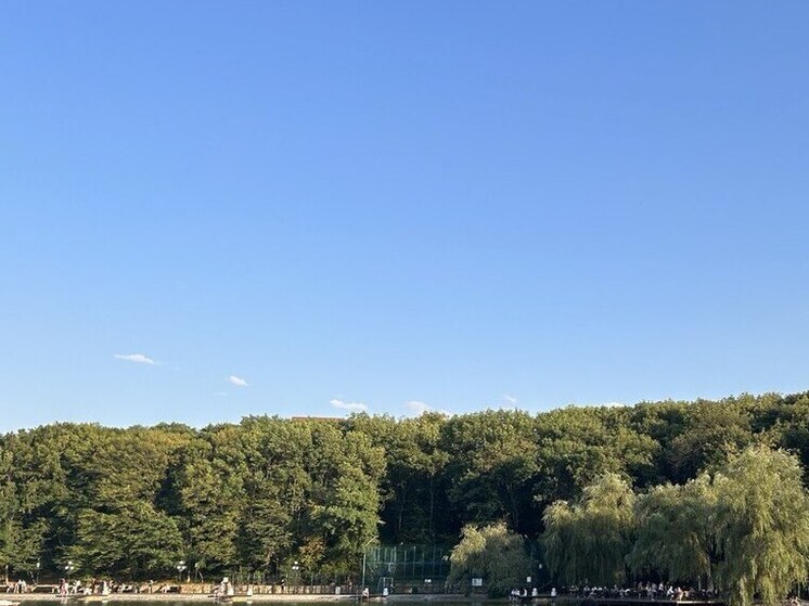 В Железноводске установили фотоловушки для охраны леса и наблюдения за животными