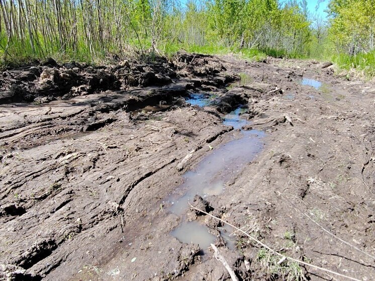 Организация возместит ущерб почве в 2,5 млн рублей в Забайкалье