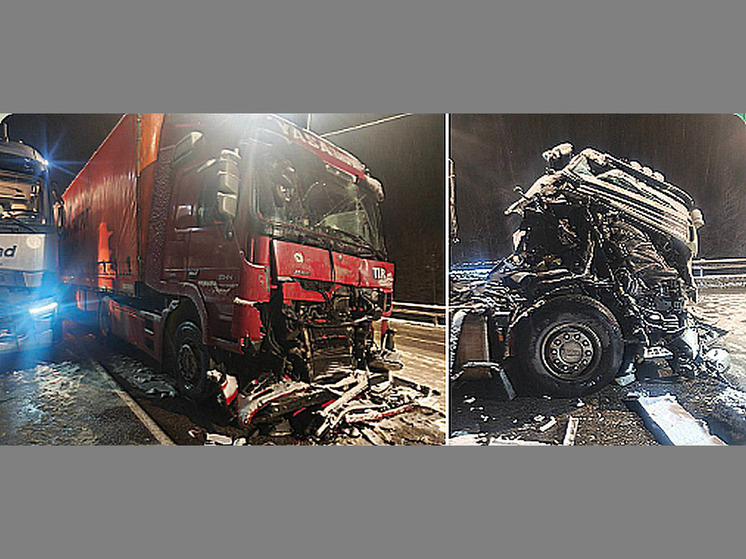 Под Воронежем смертельное столкновение пяти грузовиков унесло жизнь дальнобойщика