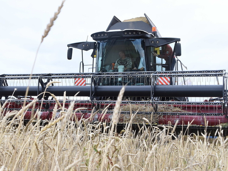 Малый агробизнес в Ивановской области развивается благодаря адресной господдержке
