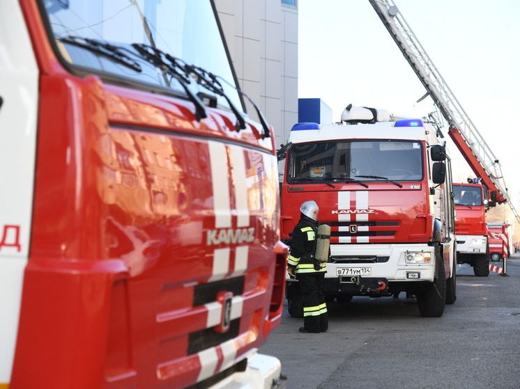 Жителей Урюпинска Волгоградской области предупредили об учениях в ТКЦ