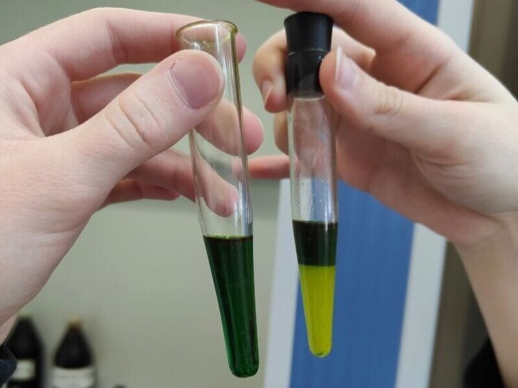 Роспотребнадзор создал 124 отечественных экспресс-теста для выявления инфекций