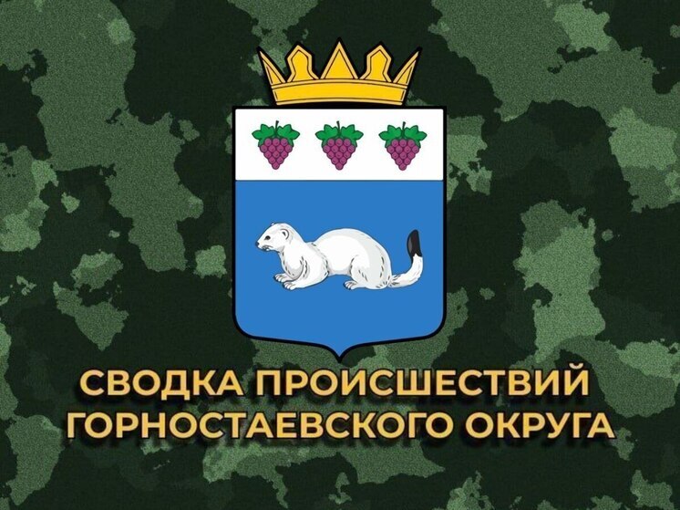 За сутки ВСУ 9 раз обстреляли Горностаевский муниципальный округ