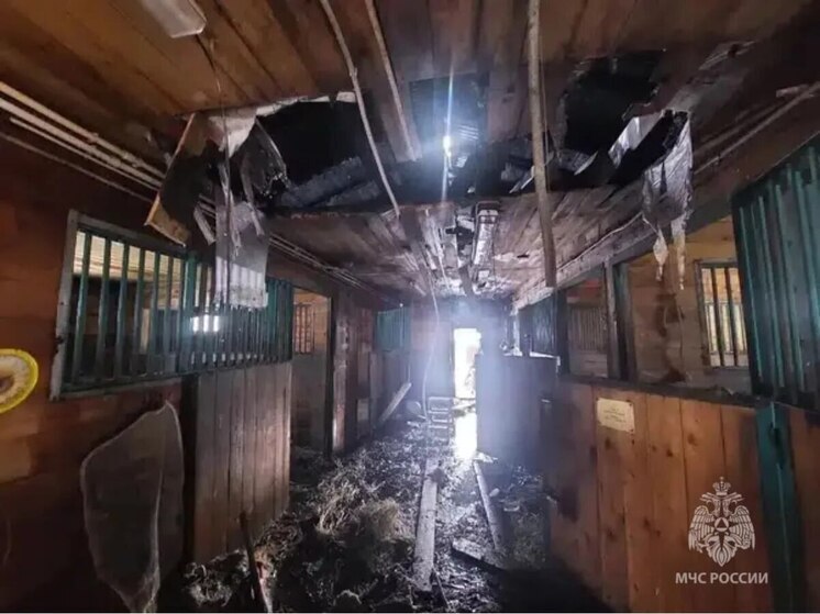 Конюшня сгорела в сахалинском селе Ново-Александровск