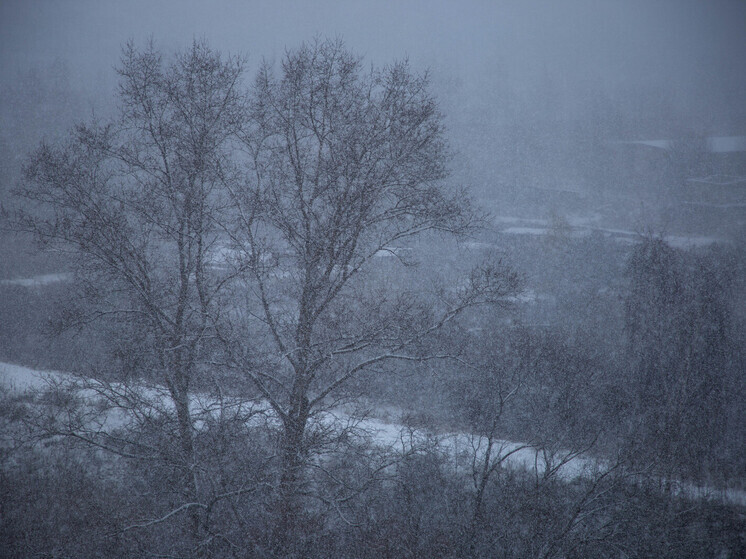 В Тверской области испортится погода: мокрый снег, похолодание и сильный ветер