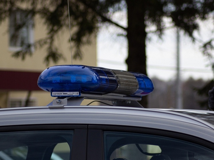 Житель Щёкинского района избежал суда за угон машины матери благодаря примирению