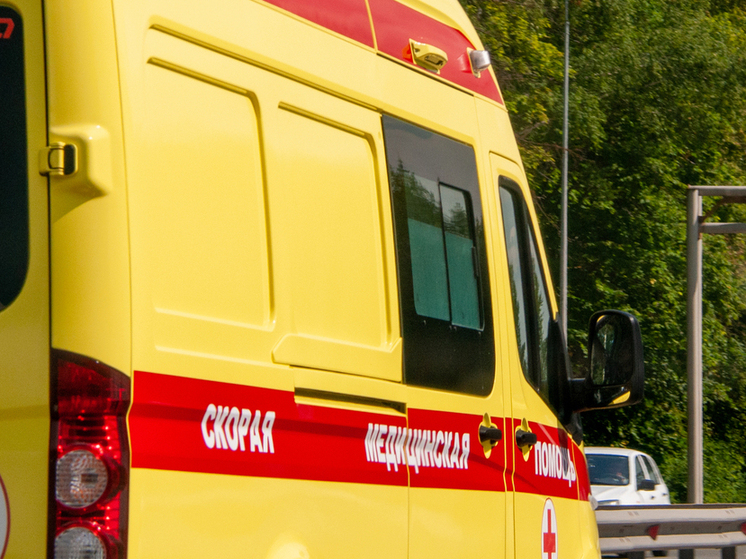 Трутце: с любой установкой, где используется высокая энергия, может произойти взрыв